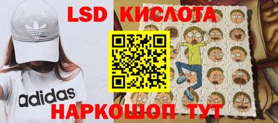 прущие крисы Кингисепп