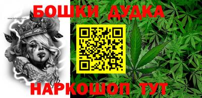 прущие крисы Кингисепп