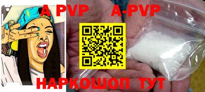 прущие крисы Кингисепп