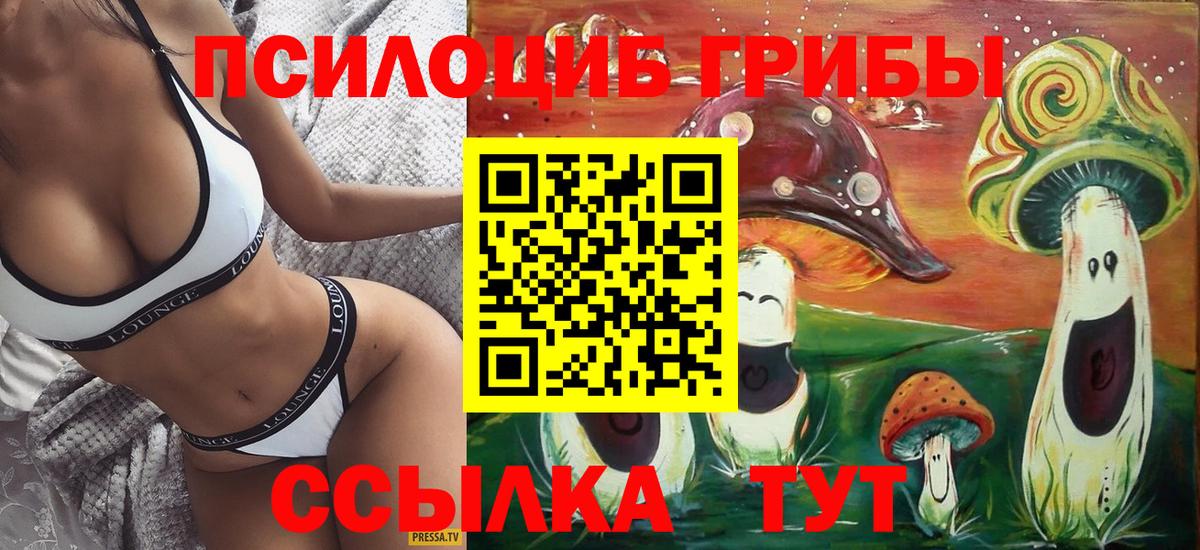 Коломна  Галлюциногенные грибы MAGIC MUSHROOMS  Вход с VPN 