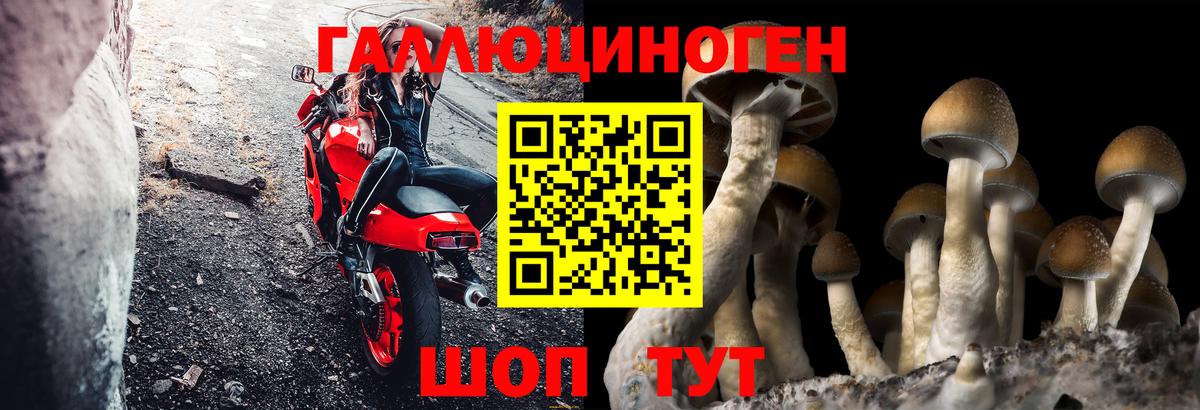 Галлюциногенные грибы ЛСД Коломна
